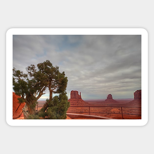 Monument Valley, Clouds, Juniper Tree Sticker by StonePics